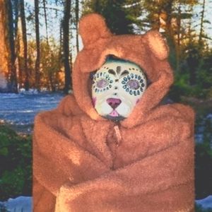 One piece animal ears hooded jammies onsie